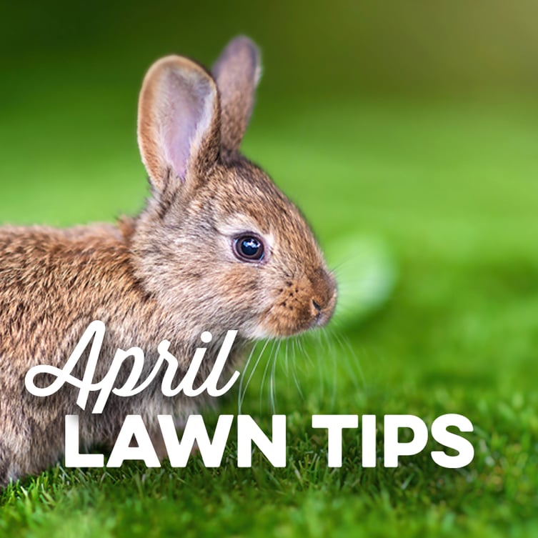 April Lawn Tips 2021