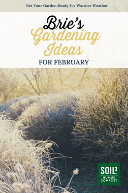 February Garden To Do List Soil3 (2)