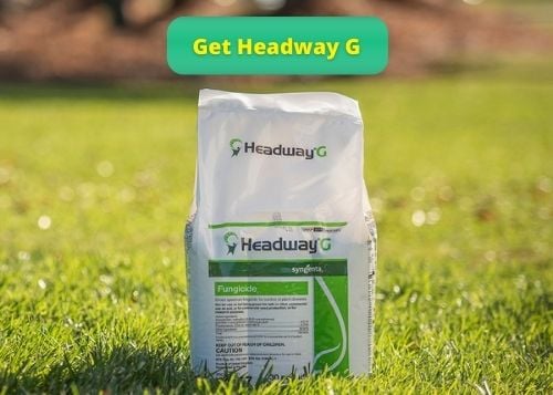 Get Headway G