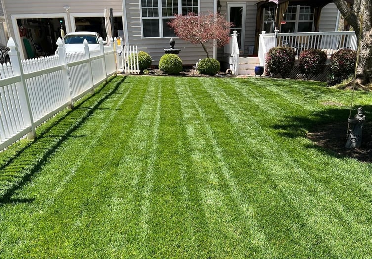 April Tall Fescue Lawn Tips for 2022