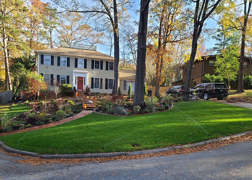Tall Fescue lawn laid by homeowner