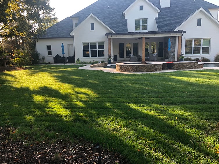 August Tall Fescue Lawn Tips for 2022