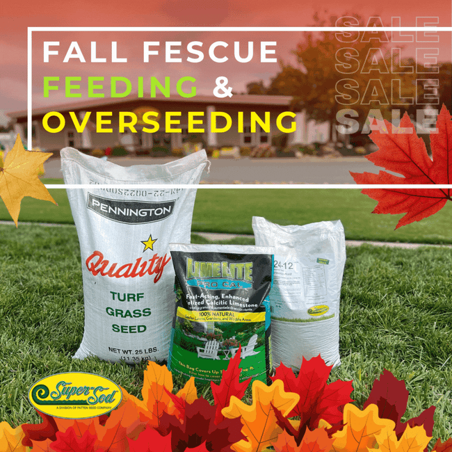 Fall Feeding and Over-seeding Package (1080 × 1080 px)
