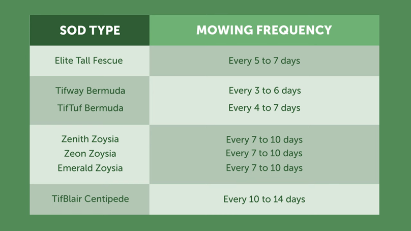 Mowing Frequency for Each Type of Grass