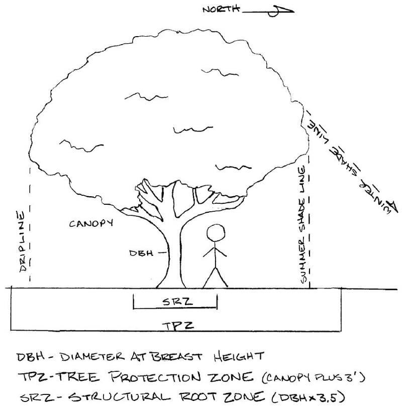 Shannon Diagram showing Tree Measurements