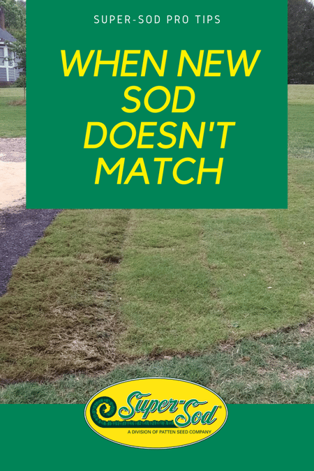 When New Sod Doesnt Match (1)